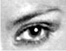 Amor, Amistad.......